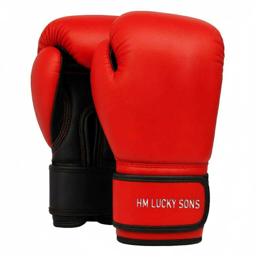 Boxing Gloves Manufacturer in Pakistan